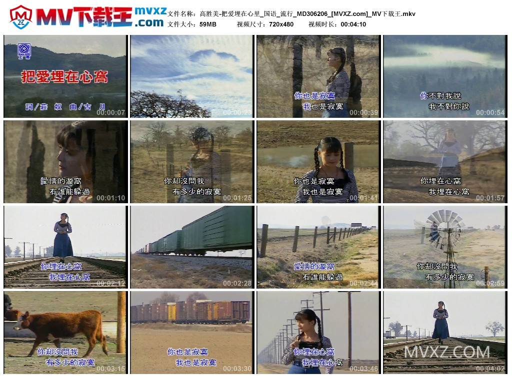 高胜美-把爱埋在心里_国语_流行_MD306206